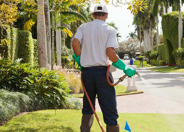 About Paradise KS Pest Control Pros